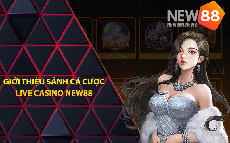 Live casino New88